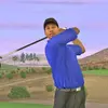 Tiger Woods PGA Tour 2005
