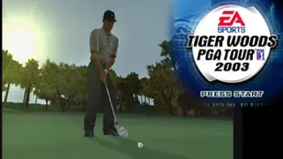 Tiger Woods PGA Tour 2003 screenshot