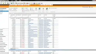 Tigerpaw One screenshot