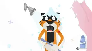 TigerVPN screenshot