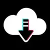 TikTok Video Downloader No Watermark – VideoTool