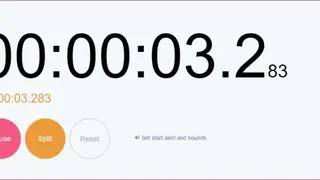Timeanddate Online Stopwatch screenshot