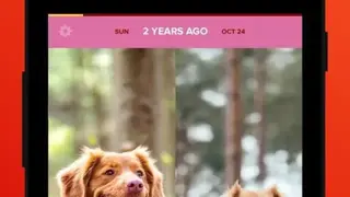 Timehop screenshot