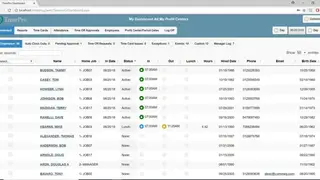 Timepro screenshot