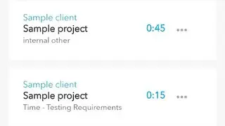 TimeSite Pro screenshot