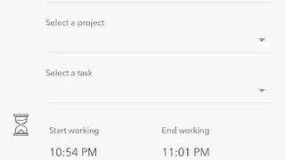 TimeSite Pro screenshot