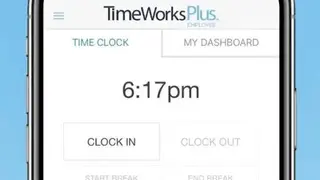 TimeWorksPlus Employee screenshot