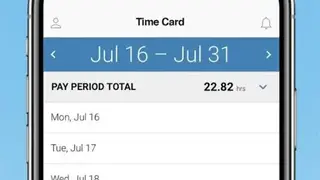 TimeWorksPlus Employee screenshot