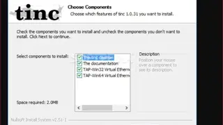 Tinc VPN screenshot