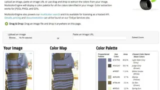 TinEye Color extraction screenshot