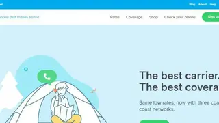 Ting screenshot
