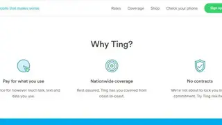 Ting screenshot