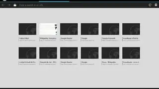 Tint Browser screenshot