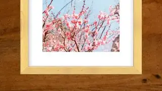 TinTint PhotoBook screenshot