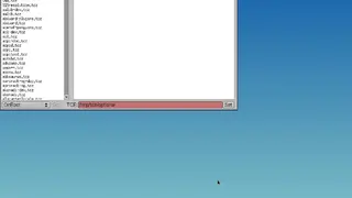 TinyCore screenshot