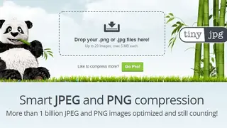 TinyJPG screenshot