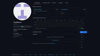 TinyMetrics screenshot