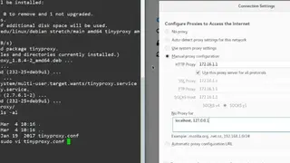 TinyProxy screenshot