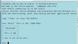 TinyShell screenshot