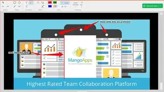 TinyTake screenshot