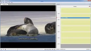 Titlebee screenshot