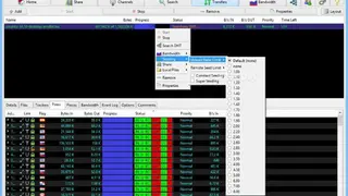 Tixati screenshot