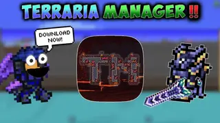 TManager screenshot
