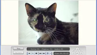 TMPGEnc DVD screenshot