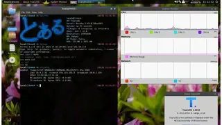 ToaruOS screenshot