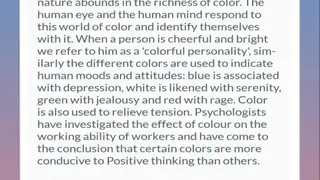 TOP English Essays screenshot