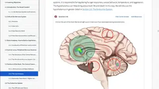 Top Hat Online Exam Software screenshot