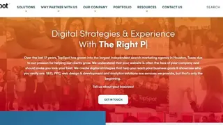 Top Spot Internet Marketing screenshot