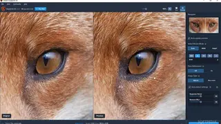 Topaz Gigapixel AI screenshot