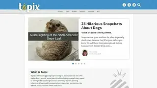 Topix screenshot