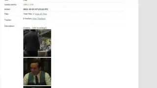 torrent CD screenshot