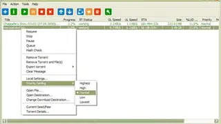 Torrent Swapper screenshot
