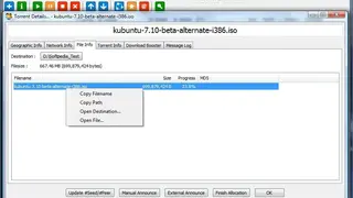 Torrent Swapper screenshot