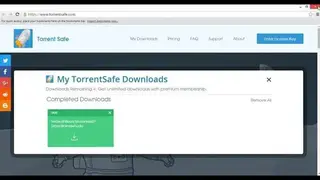 TorrentSafe screenshot
