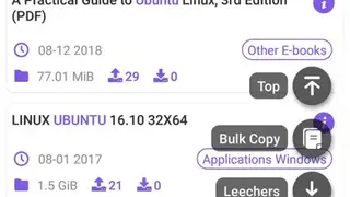 TorrSE screenshot
