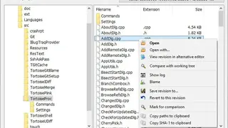 TortoiseGit screenshot