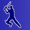 Total Cricket Scorer