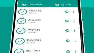 Total Downloader screenshot