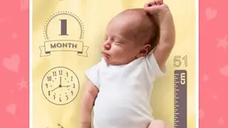 Totsie screenshot