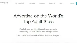 Traffic Junky screenshot