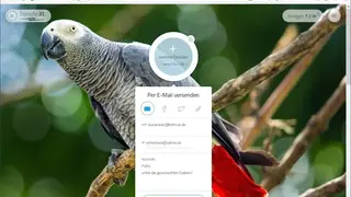 TransferXL screenshot