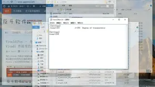 TransOther screenshot