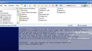 TransOther screenshot