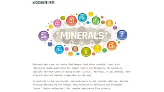 Transparent Labs Macro & Calorie Calculator screenshot