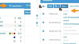 TransPerfect Services screenshot