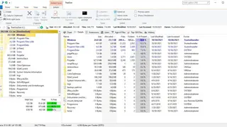 TreeSize Professional screenshot